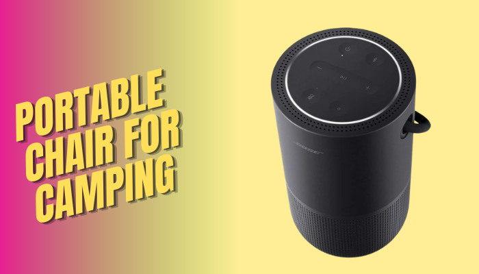 Read more about the article Best Portable Smart Speaker for Daily Use