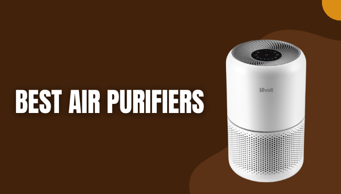 Read more about the article Best 5 Air Purifiers of 2025